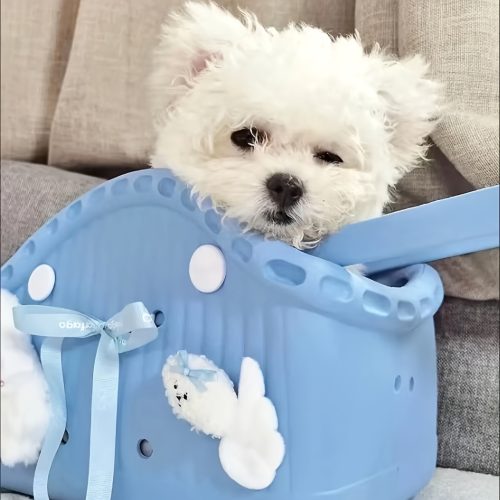 Pet Bag Handle Bag Factory Custom