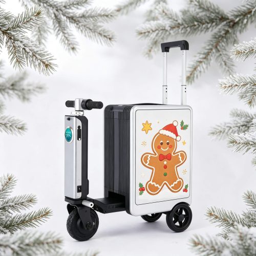 Smart Luggage Wholesale – Christmas